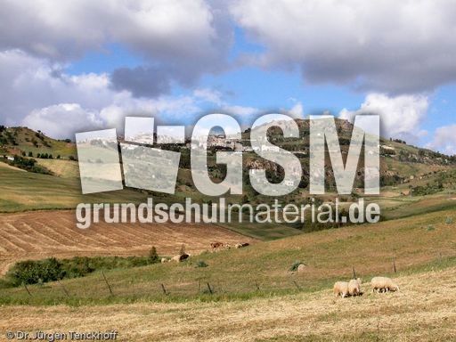 Sizilien (158 von 565).jpg